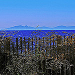 Île de Porquerolles par Babaou - Porquerolles 83400 Var Provence France