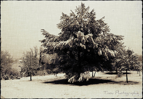 La Neige à Pourrières par Tinou61