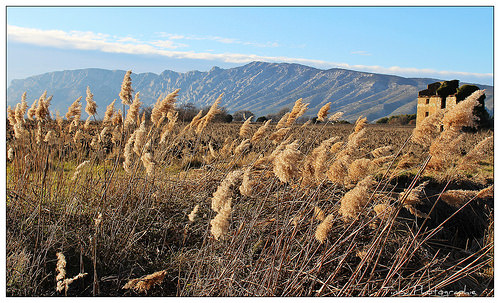 La Sainte Victoire - randonnée nature by Tinou61