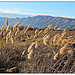 La Sainte Victoire - randonnée nature by Tinou61 - Pourrieres 83910 Var Provence France