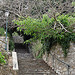 Escaliers par Niouz - Ramatuelle 83350 Var Provence France