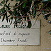 Fleurs fraiches par Niouz - Ramatuelle 83350 Var Provence France