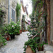 Ruelle fleurie par Niouz - Ramatuelle 83350 Var Provence France