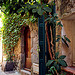 Welcome home par Morpheus © Schaagen - Ramatuelle 83350 Var Provence France