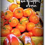 Tomates en grappes - Extra par Beriadan - Ramatuelle 83350 Var Provence France