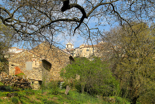 Ramatuelle un matin de printemps by myvalleylil1