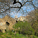 Ramatuelle un matin de printemps par myvalleylil1 - Ramatuelle 83350 Var Provence France