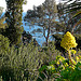 Jardins du Rayol by myvalleylil1 - Rayol Canadel sur Mer 83820 Var Provence France