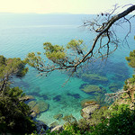 Domaine du Rayol - Jardin de la Méditerranée by sophie.valenti - Rayol Canadel sur Mer 83820 Var Provence France