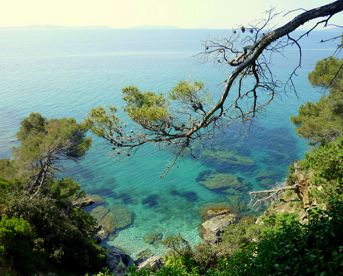 Domaine du Rayol - Jardin de la Méditerranée by sophie.valenti