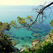 Domaine du Rayol - Jardin de la Méditerranée par sophie.valenti - Rayol Canadel sur Mer 83820 Var Provence France