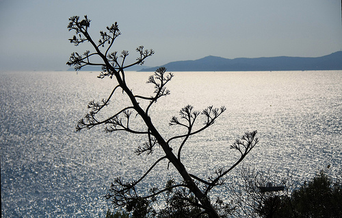 Domaine du Rayol - vue sur la Méditerranée par maybeairline