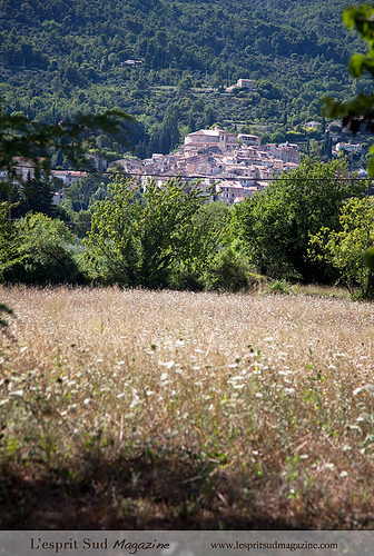 Les abords du village de Seillans, Provence by Belles Images by Sandra A.