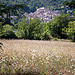 Les abords du village de Seillans, Provence par Belles Images by Sandra A. - Seillans 83440 Var Provence France