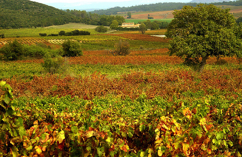 Automne à Seillons par Charlottess