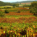 Automne à Seillons par Charlottess - Seillons Source d'Argens 83470 Var Provence France