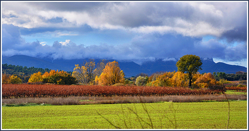 Couleurs d'Automne assurément - Var par Charlottess