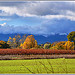 Couleurs d'Automne assurément - Var par Charlottess - Seillons Source d'Argens 83470 Var Provence France