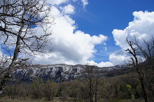 Randonnée dans la Sainte Baume by sabinelacombe