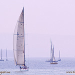 Sailing in Saint-Trope Golf by Belles Images by Sandra A. - St. Tropez 83990 Var Provence France