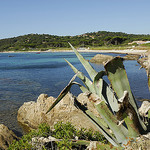 Plage des Salins - St Tropez par pizzichiniclaudio - St. Tropez 83990 Var Provence France