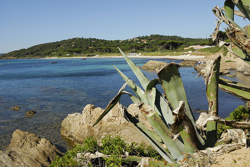 Plage des Salins - St Tropez par pizzichiniclaudio