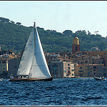 Les voiles de Saint-Tropez : La course se termine.... by myvalleylil1 - St. Tropez 83990 Var Provence France