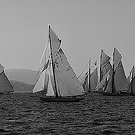 LES VOILES DE SAINT - TROPEZ 2012 par PUIGSERVER JEAN PIERRE - St. Tropez 83990 Var Provence France