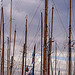 Mats - LES VOILES DE SAINT-TROPEZ 2012 par PUIGSERVER JEAN PIERRE - St. Tropez 83990 Var Provence France