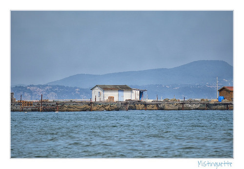 Baie des Tamaris - Fishing hut par mistinguette.mistinguette