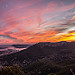 La vie en rose - Mont Faron et Coudon au dessus de Toulon par CarolineMart. - Toulon 83000 Var Provence France