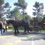 La calèche du Bonheur. Mont Faron, Toulon. par Only Tradition - Toulon 83000 Var Provence France