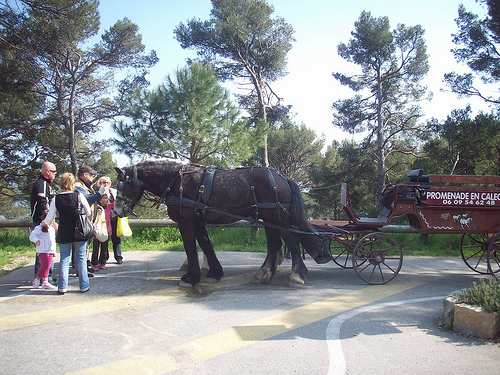 La calèche du Bonheur. Mont Faron, Toulon. by Only Tradition