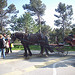 La calèche du Bonheur. Mont Faron, Toulon. par Only Tradition - Toulon 83000 Var Provence France