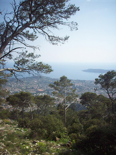 Vue sur Toulon et la presqu'île de Saint-Mandrier by Only Tradition