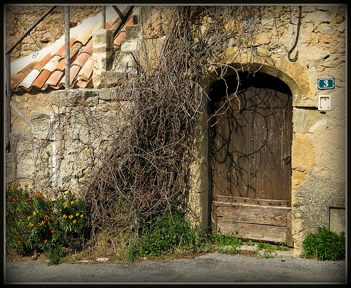 Porte rustique by myvalleylil1