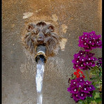 Varages - Détail de la fontaine du Baou par Renaud Sape - Varages 83670 Var Provence France