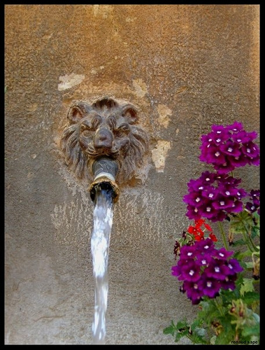 Varages - Détail de la fontaine du Baou by Renaud Sape