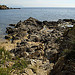 Plage de Bonne terrasse par Niouz - Ramatuelle 83350 Var Provence France