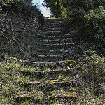 Vieil escalier de pierres moussues par christian.man12 - Apt 84400 Vaucluse Provence France