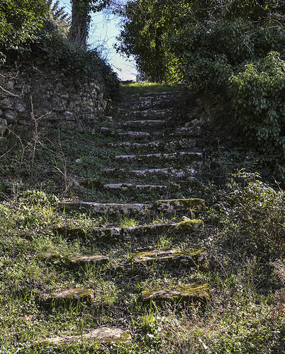 Vieil escalier de pierres moussues by christian.man12