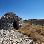 Lavandes et borie près d'Aurel by Rémi Avignon - Aurel 84390 Vaucluse Provence France