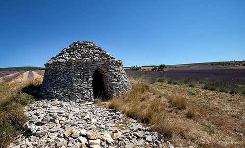 Lavandes et borie près d'Aurel by Rémi Avignon