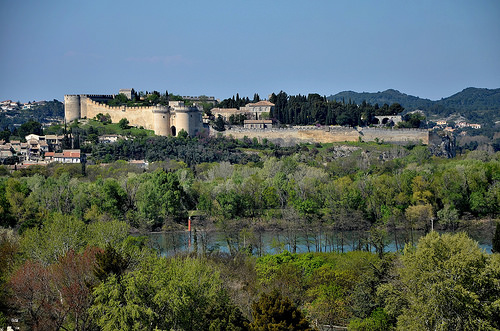 Muraille de Villeneuve lez Avignon vue du rocher des Doms by christian.man12