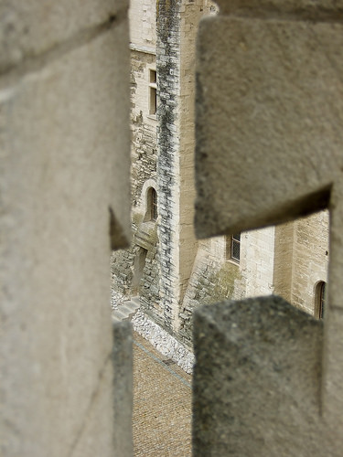 Entrevue... dans les secrets du Palais des papes par Umeline