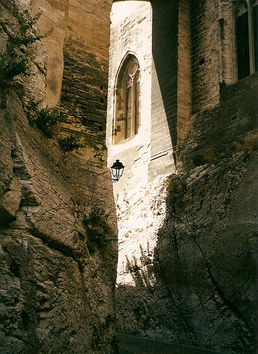 Palais des Papes : Rue Peyrollerie à Avignon by curry15