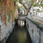 Automne à Avignon par Mattia_G - Avignon 84000 Vaucluse Provence France