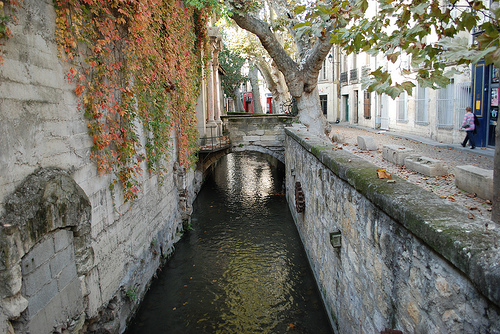 Automne à Avignon par Mattia_G