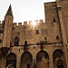 Palais des papes d'Avignon - créneaux by José Schettini Sobrinho - Avignon 84000 Vaucluse Provence France