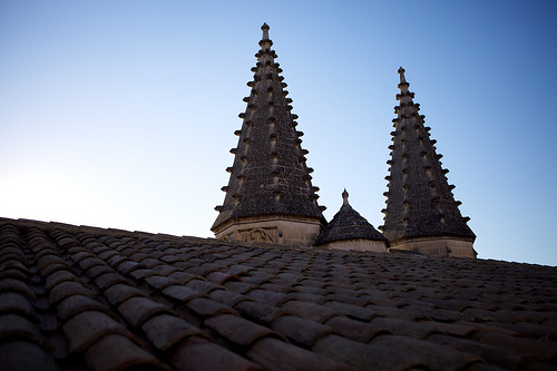 Roof of the Palace of the Popes par casey487